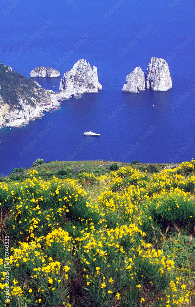 Italia,Campania,Isola di Capri.