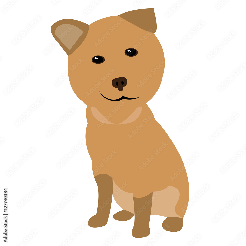 Isolated dog Isolated dog