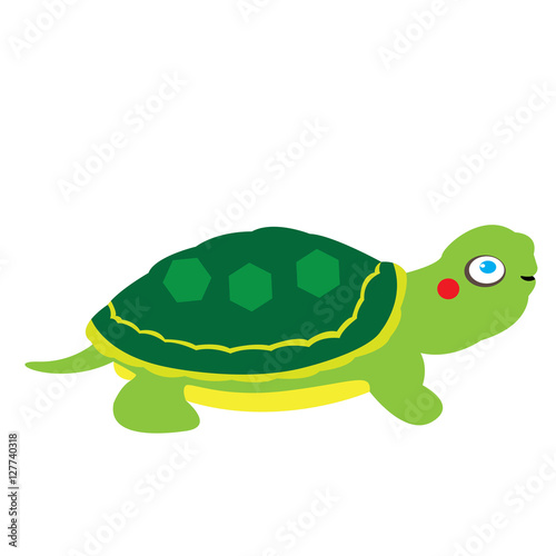 Isolated tortoise
