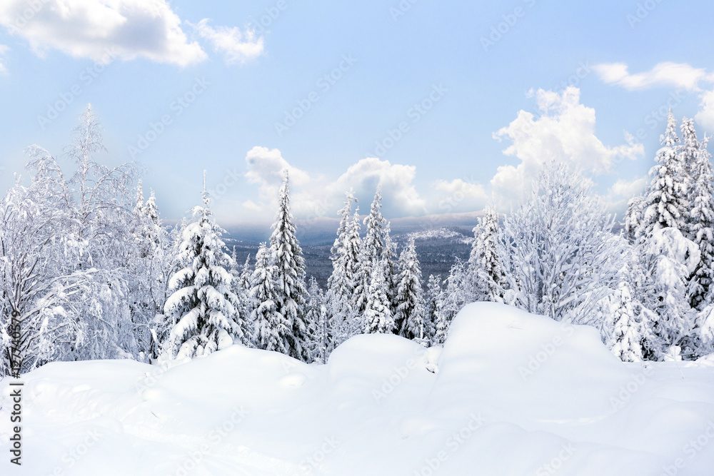 Winter forest against mountains Winter forest against mountains