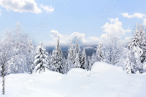 Winter forest against mountains