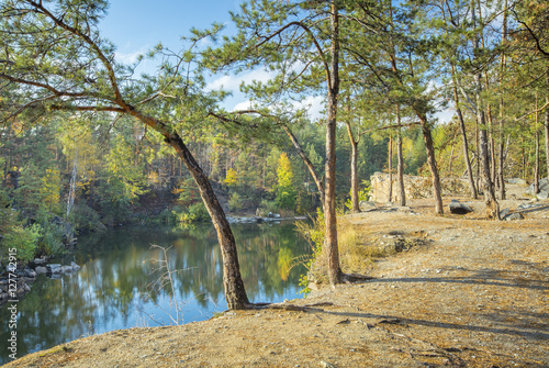 Fototapeta Naklejka Na Ścianę i Meble -  sunshine day in autumn canyon with pines
