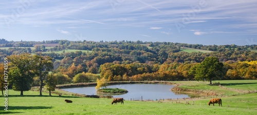 Pastoral landscape in fall