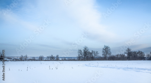 Panoramic winter landscape with snow field in countryside and trees on horizon © splendens