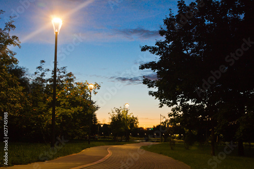 walking trail in evening summer park