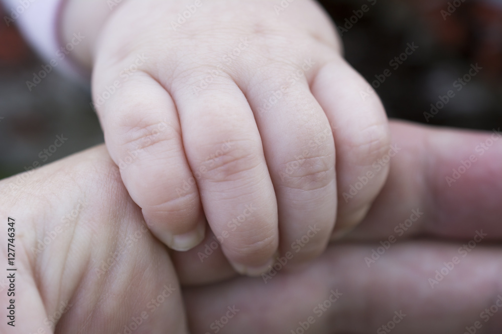 Hand of the baby Hand of the baby