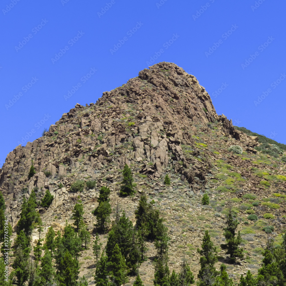 Formation rocheuse dans le Parc National Du Teide - Tenerife Formation rocheuse dans le Parc National Du Teide - Tenerife
