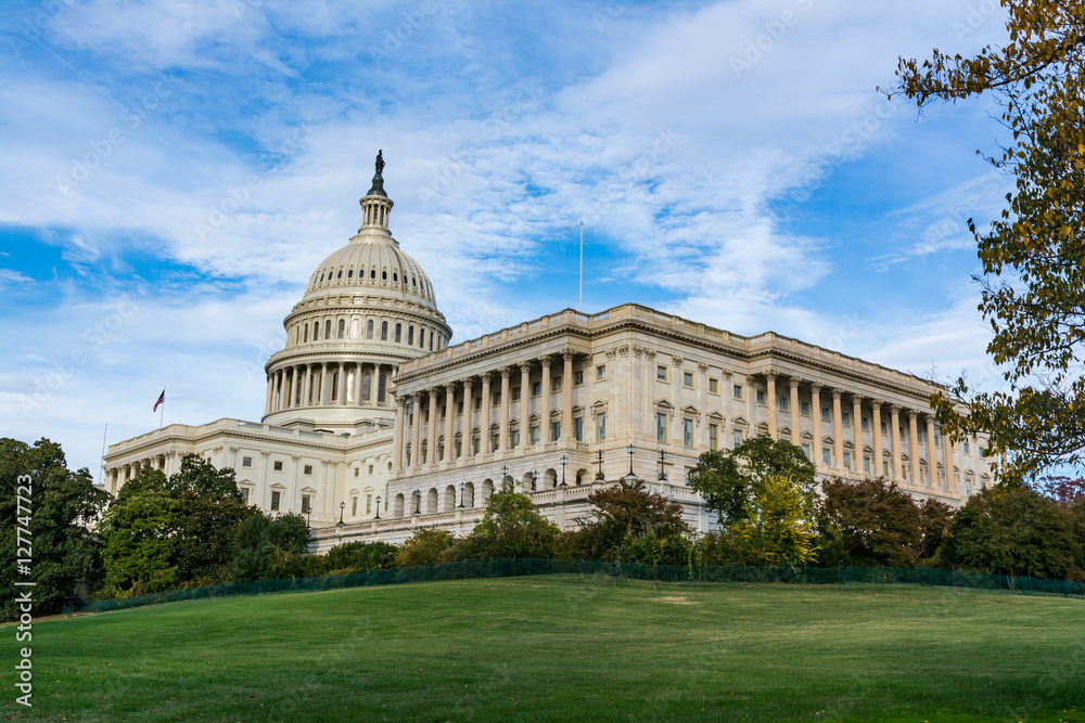 Daytime Landscape US Capitol Building Washington DC Grass Blue S