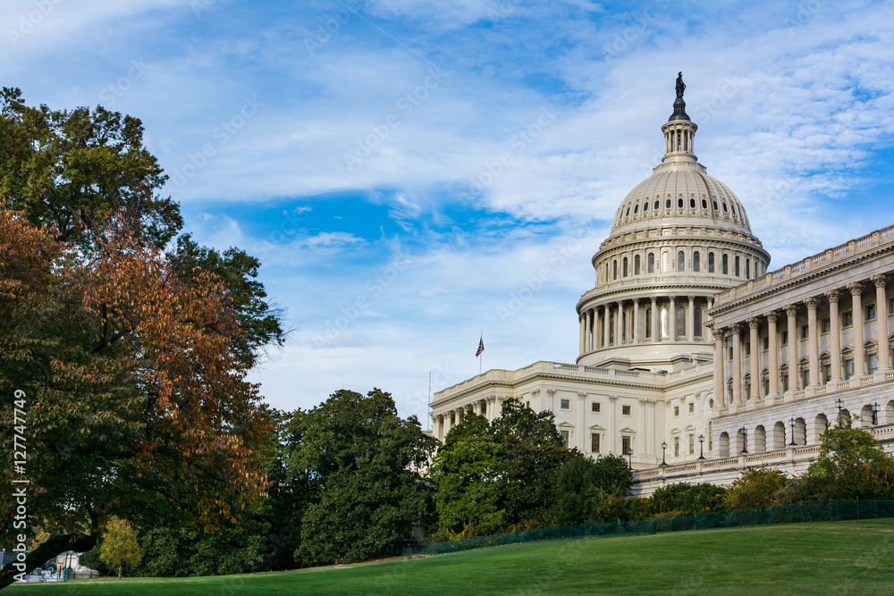 Fototapeta premium Daytime Landscape US Capitol Building Washington DC Grass Blue S