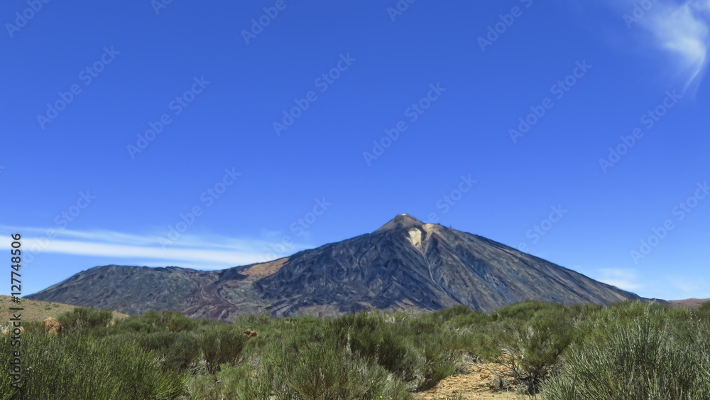 Fototapeta premium Parc National du Teide