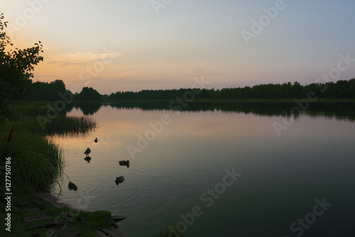 Sunset over the lake with ducks. Russia.