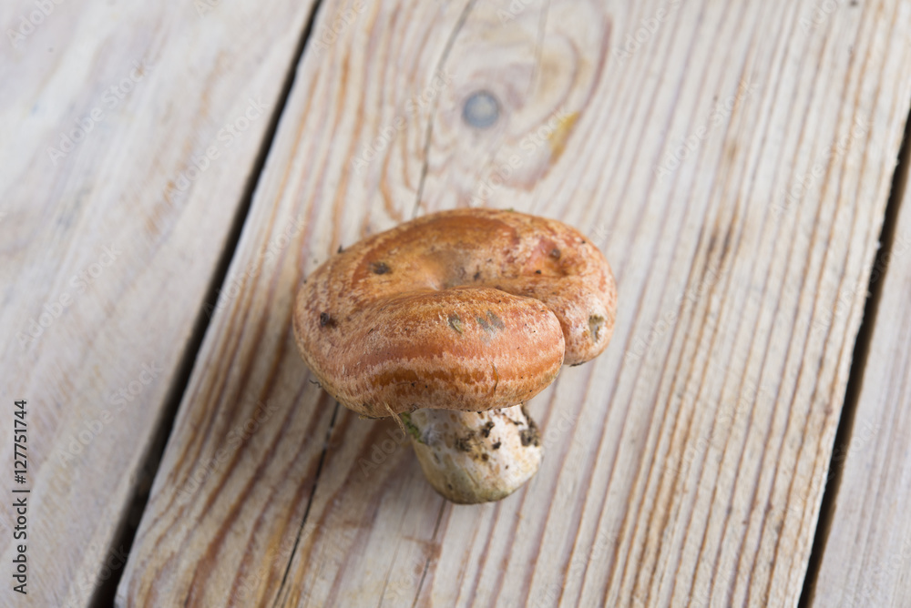 Mushrooms Rovellon Mushrooms Rovellon