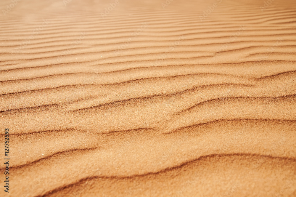 closeup sand texture. picture with soft focus closeup sand texture. picture with soft focus