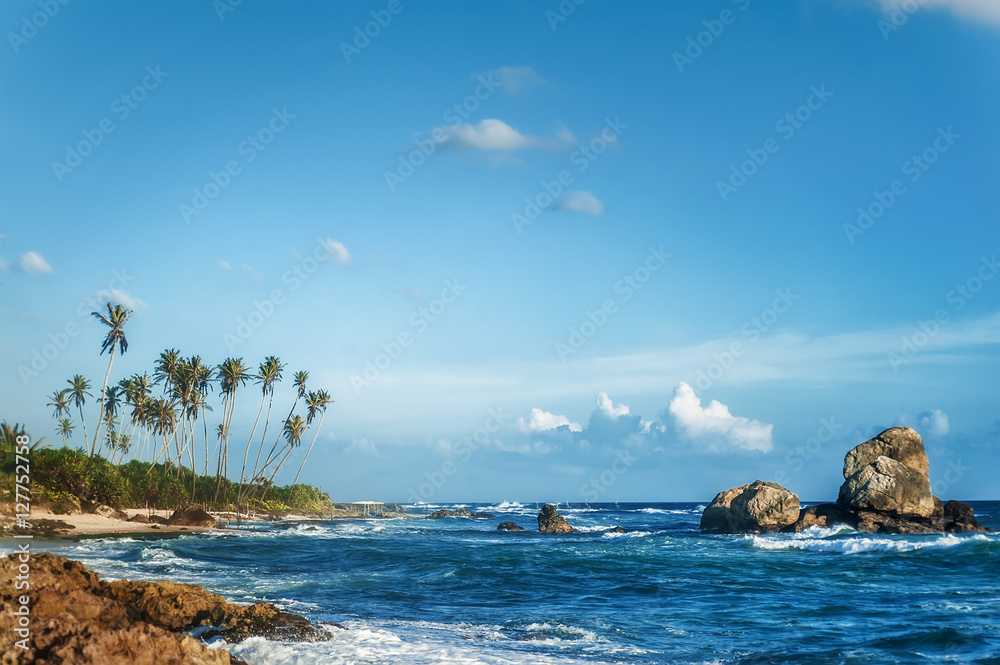 beautiful exotic ocean beach with palms, rocks and blue cloudy sky