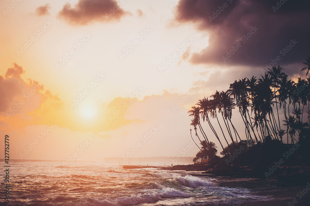 ocean beach on sunset with row palms on horizon - obrazy, fototapety, plakaty 