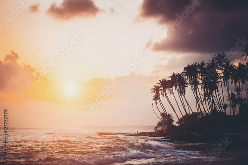 ocean beach on sunset with row palms on horizon