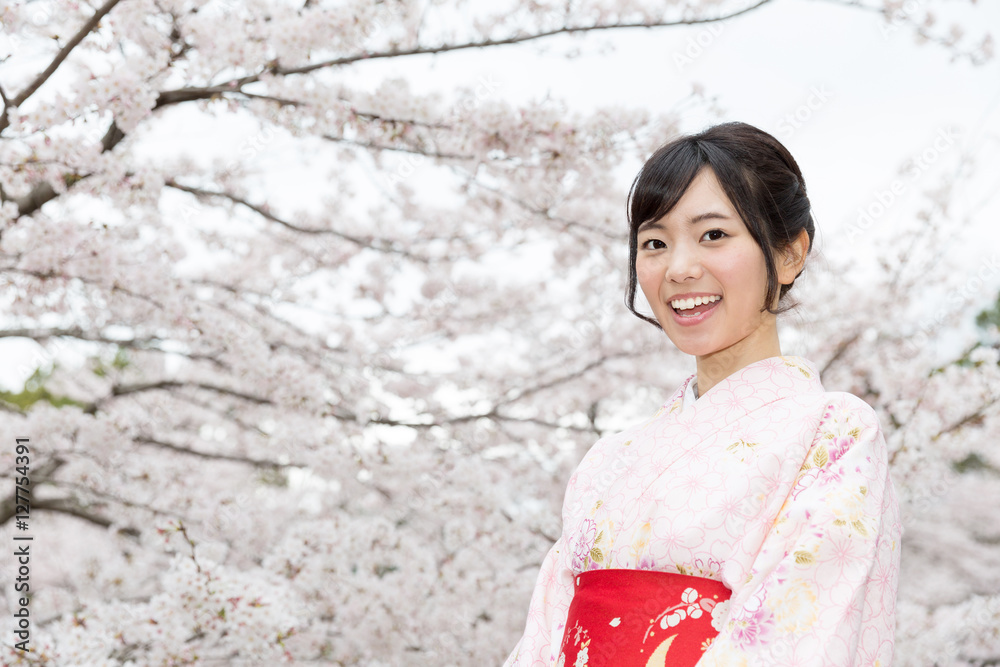 attractive asian woman wearing kimono looking cherry blossoms attractive asian woman wearing kimono looking cherry blossoms