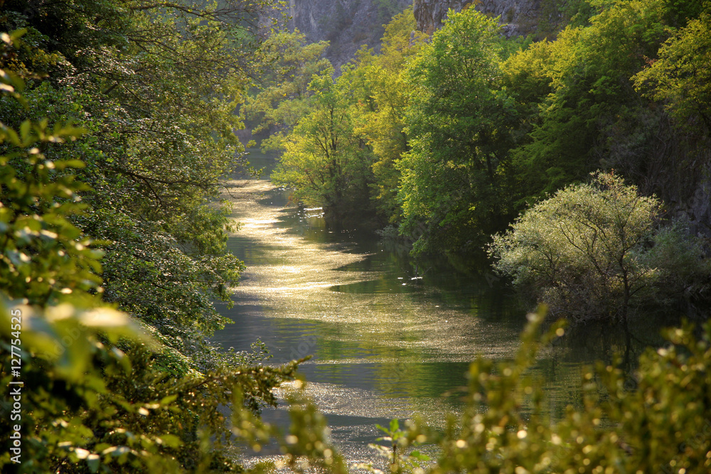 Golden path Golden path