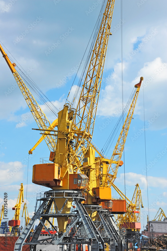 Port cargo crane