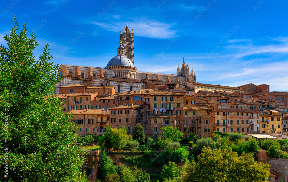 View of Dome and campanile of Siena Cathedral (Duomo di Siena) in Siena, Italy.