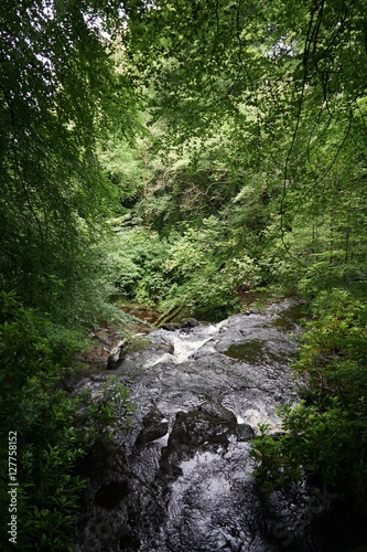 Wasserfall im gr  nen Antrim   Nordirland 