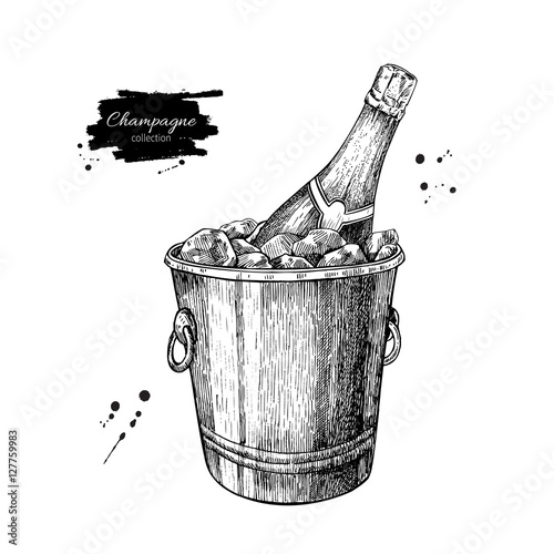 Champagne bottle in ice bucket. Hand drawn isolated vector illus