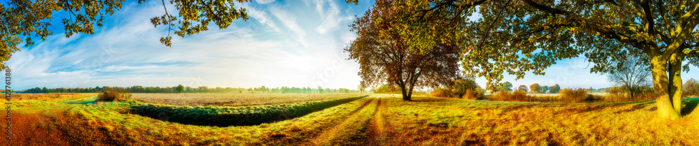 Panorama einer herbstlichen Landschaft mit Feldern und Bäumen