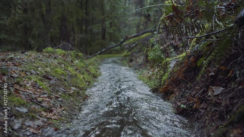 Small stream flowing quickly through the woods. Shallow depth of field, focus on the immediate foreground. Moran State Park, Orcas Island, San Juan Islands, Washington State, USA.