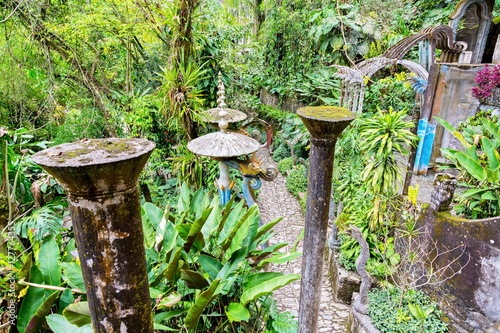 Old concrete monuments decaying in a cloud forest in Mexico. These ancient monuments will soon totally be consumed by the plant life. photo