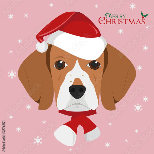 Christmas greeting card. Beagle dog with red Santa's hat