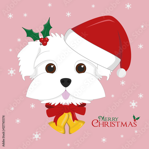 Christmas greeting card. Maltese dog with red Santa's hat and Christmas bells