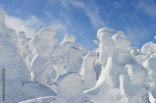 山形蔵王の樹氷群
