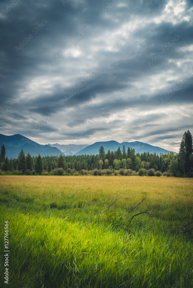 Overcast meadow (portrait)
