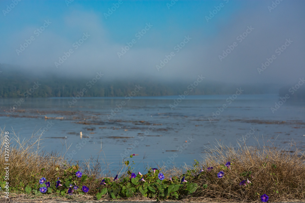 View of Jordan Lake. Sunny and foggy. Foreground flowers. Overlook.