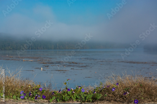 Obraz na płótnie View of Jordan Lake. Sunny and foggy. Foreground flowers. Overlook. w salonie