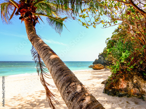 Palm tree leaf, swing on a becah in Boracay, Philippines photo