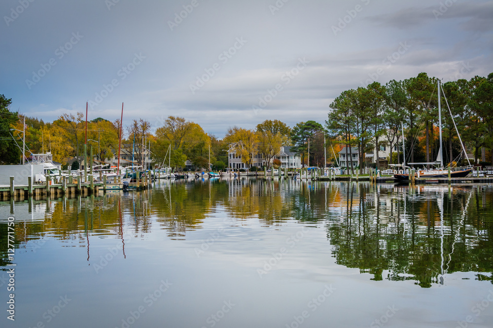 Autumn color at the harbor in St. Michaels, Maryland.