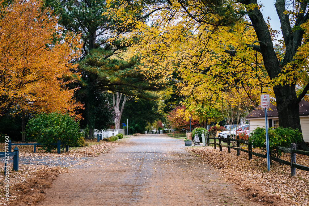 Naklejka premium Autumn color along a street in St. Michaels, Maryland.