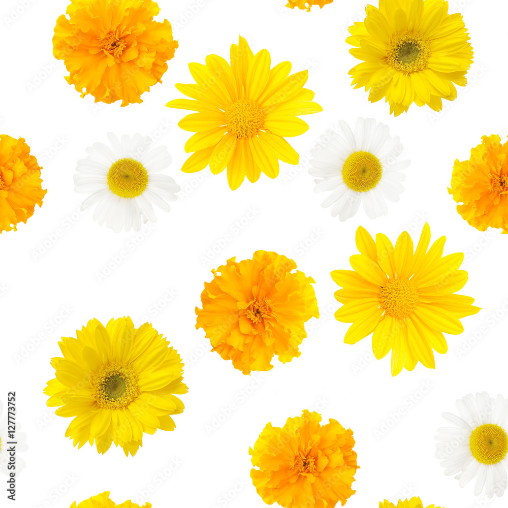 yellow flowers, seamless pattern yellow flowers, seamless pattern