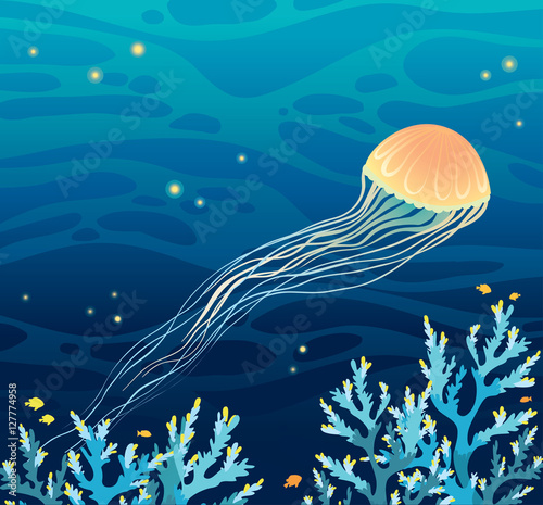 Night seascape - jellifish and coral reef.