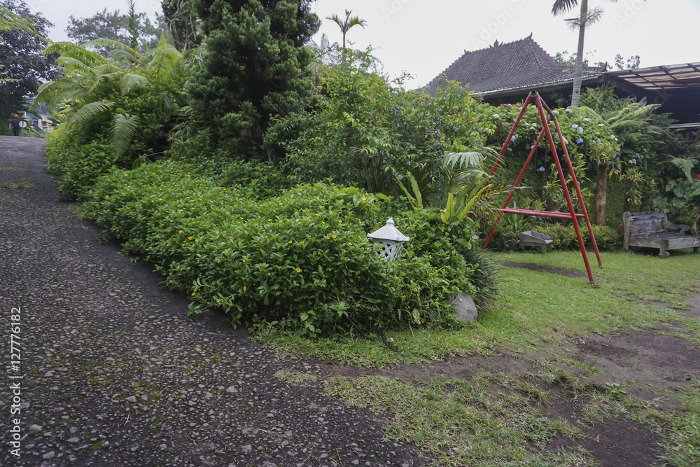 Fototapeta premium Beautiful green garden in Indonesia.