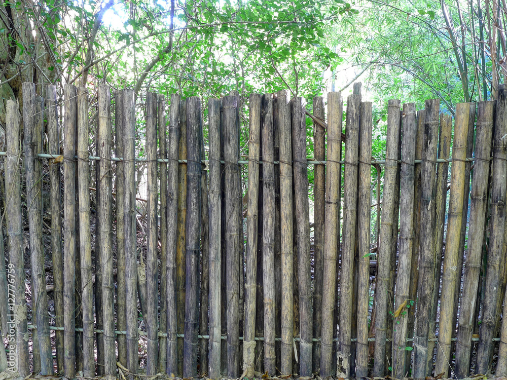 Fences made of bamboo Fences made of bamboo