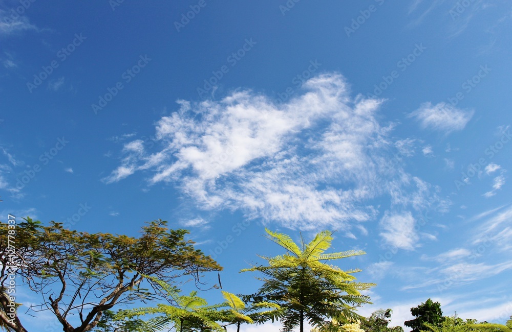 Obraz premium バリ、サヌールの青空