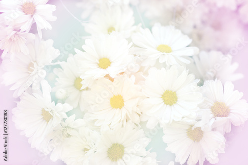 Flower Background © voraorn