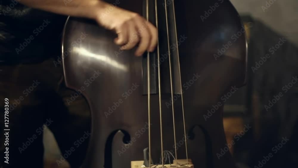 The musician plays jazz music on the cello in the club
The musician plays jazz music on the cello in the club