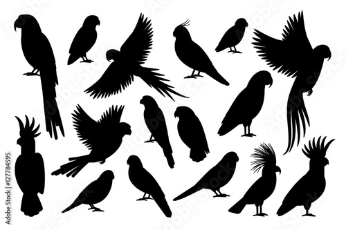 Fotografiet Vector parrot silhouettes of amazon jungle isolated on white background