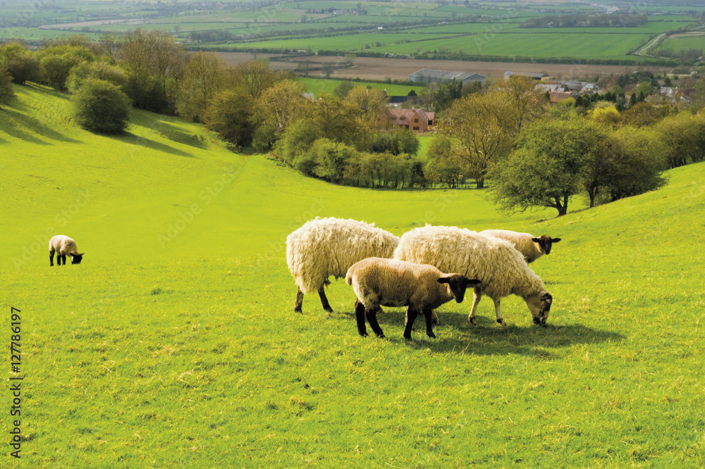 Obraz premium burton dassett country park warwickshire england uk