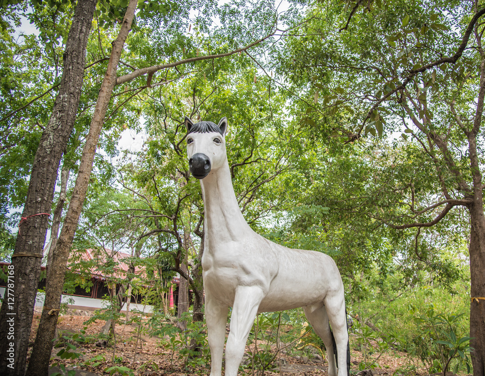 Obraz premium Beutiful white horse rat in temple Thailand