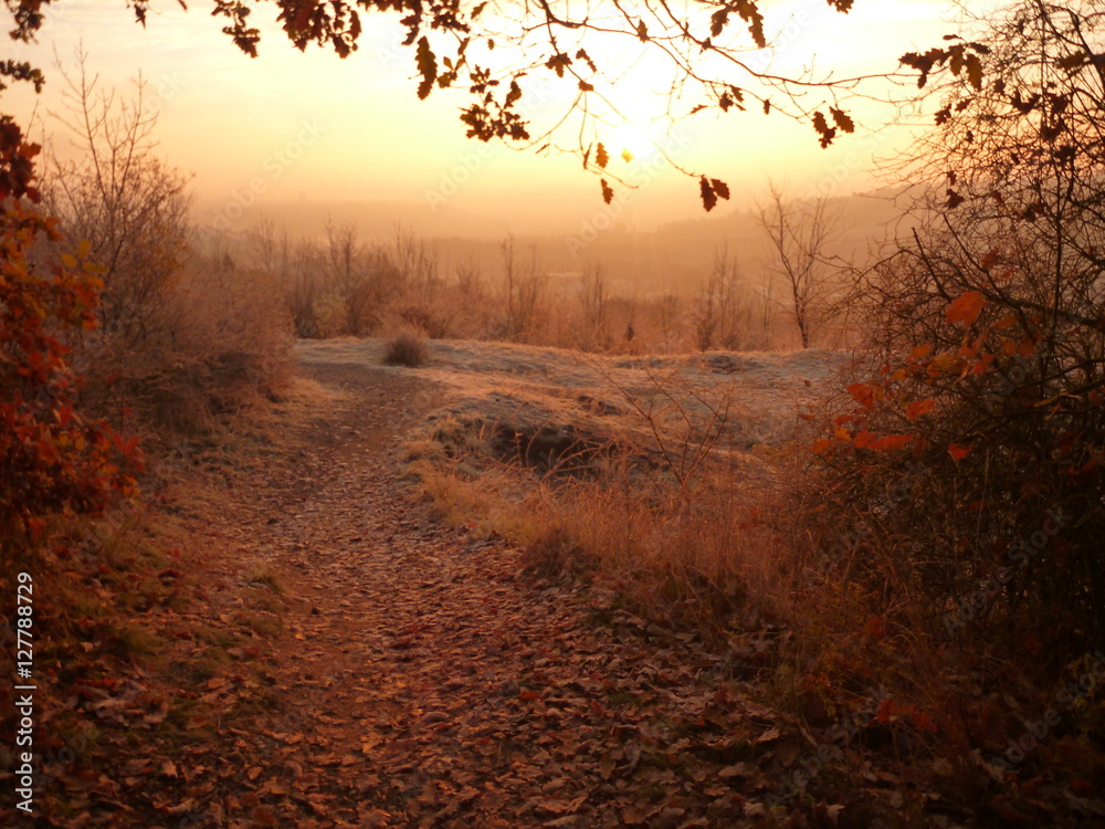 Fototapeta premium piękny wschód słońca w chłodny poranek listopada