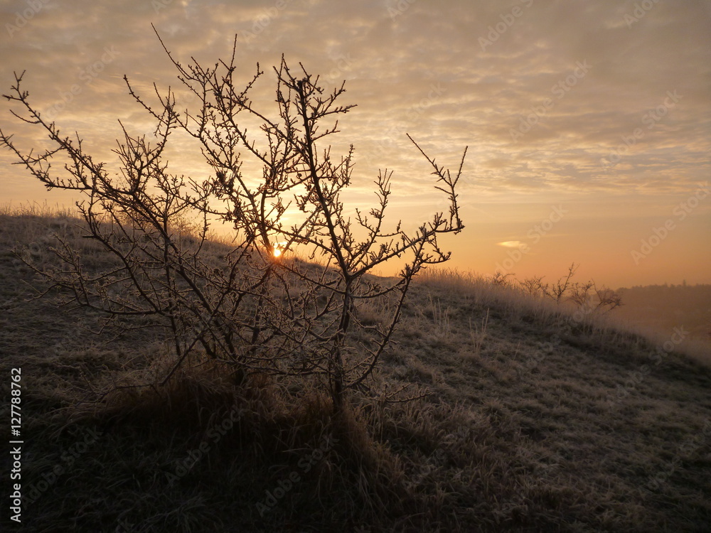 Fototapeta premium beautiful sunrise in a chilly november morning
